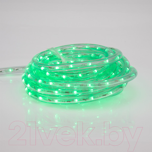 Изображение товара Светодиодный шнур (дюралайт) Neon-Night 245-109 (6м)