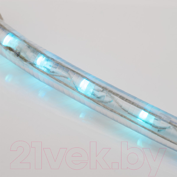 Изображение товара Светодиодный шнур (дюралайт) Neon-Night 245-109 (6м)