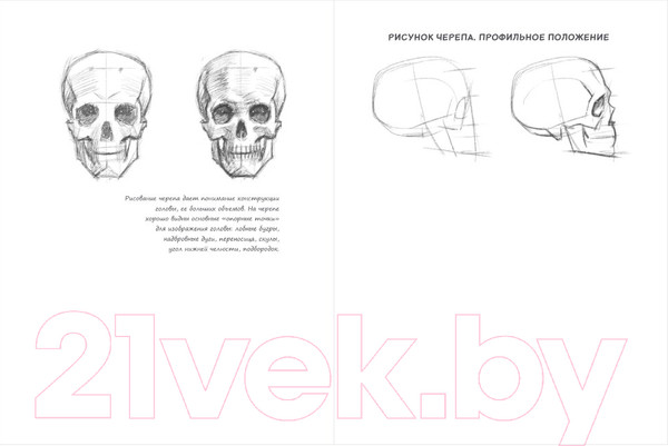 Изображение товара Творческий блокнот Эксмо SketchBook. Рисуем человека (кобальт)