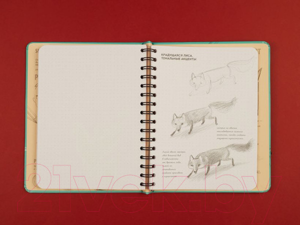 Изображение товара Творческий блокнот Эксмо SketchBook. Животные (мята)