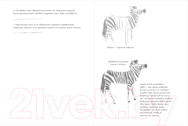 Изображение товара Творческий блокнот Эксмо SketchBook. Животные (мята)