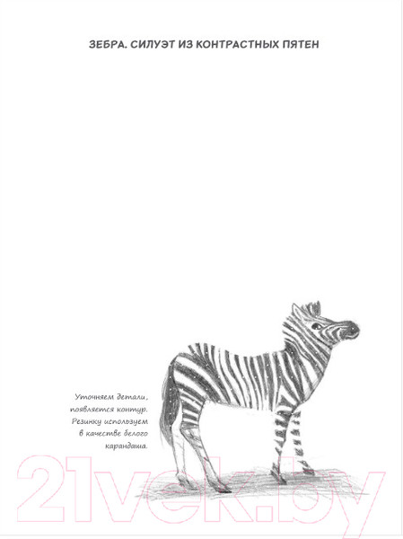 Изображение товара Творческий блокнот Эксмо SketchBook. Животные (мята)