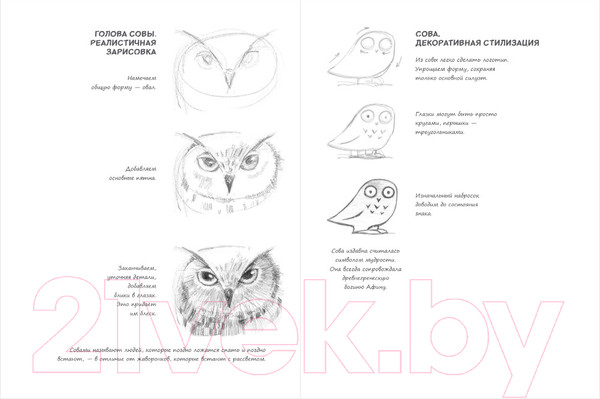 Изображение товара Творческий блокнот Эксмо SketchBook. Животные (мята)