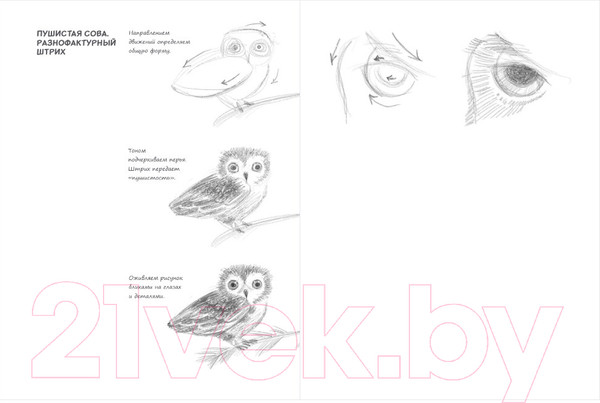 Изображение товара Творческий блокнот Эксмо SketchBook. Животные (мята)