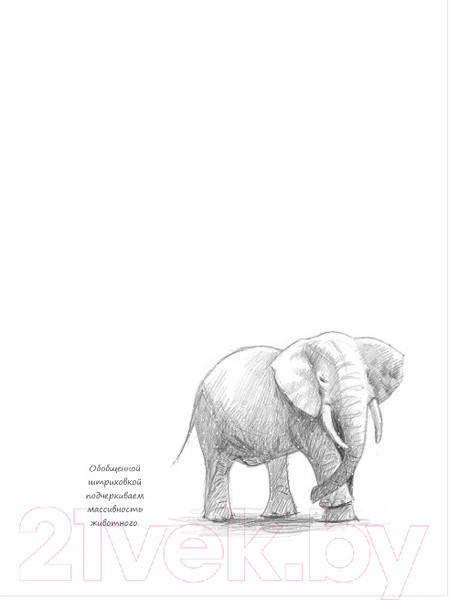 Изображение товара Творческий блокнот Эксмо SketchBook. Животные (мята)