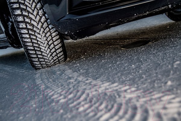 Изображение товара Зимняя шина Bridgestone Blizzak LM005 255/40R21 102V