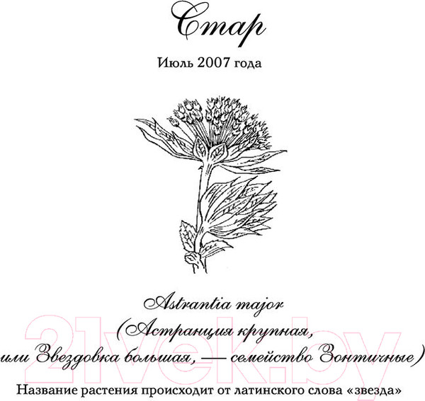Изображение товара Книга Эксмо Семь сестер. Сестра тени / 9785041136260 (Райли Л.)