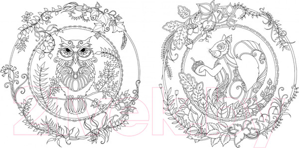 Изображение товара Книга КоЛибри Книга для творчества и вдохновения. Зачарованный лес (Бэсфорд Дж.)