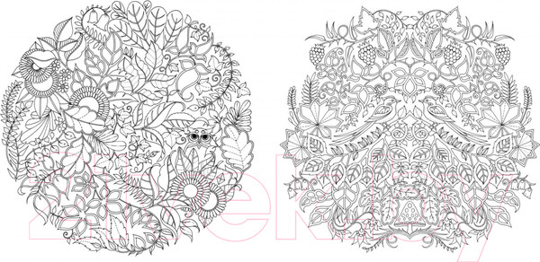 Изображение товара Книга КоЛибри Книга для творчества и вдохновения. Зачарованный лес (Бэсфорд Дж.)