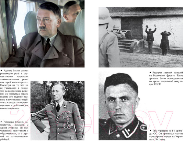 Изображение товара Книга КоЛибри Освенцим. Нацисты и окончательное решение еврейского вопроса (Рис Л.)