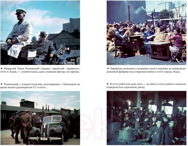 Изображение товара Книга КоЛибри Освенцим. Нацисты и окончательное решение еврейского вопроса (Рис Л.)