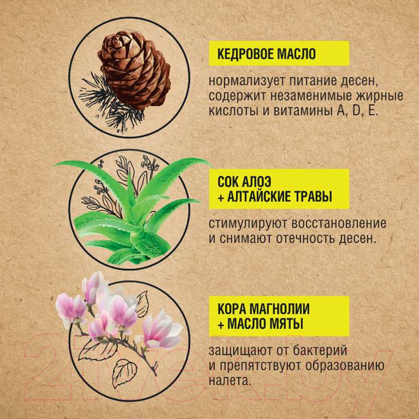 Изображение товара Зубная паста Лесной бальзам С органическими маслами и Алоэ (75мл)