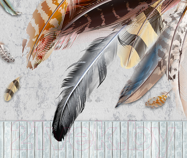 Изображение товара Фотообои листовые Citydecor Перья (300x254)