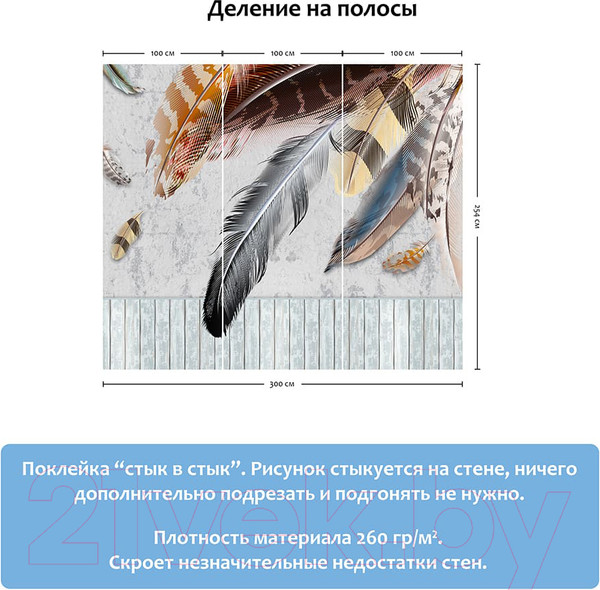 Изображение товара Фотообои листовые Citydecor Перья (300x254)