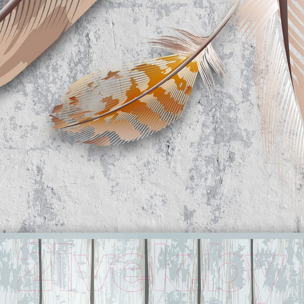 Изображение товара Фотообои листовые Citydecor Перья (300x254)