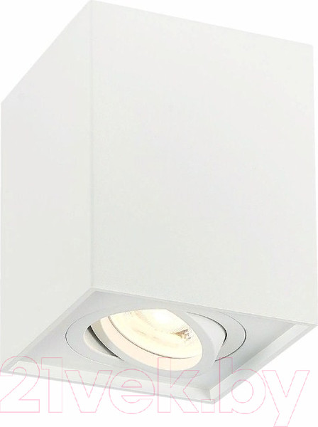 Изображение товара Точечный светильник ST Luce ST109.507.01