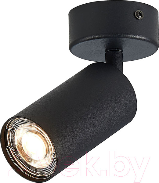 Изображение товара Спот ST Luce Dario ST303.402.01