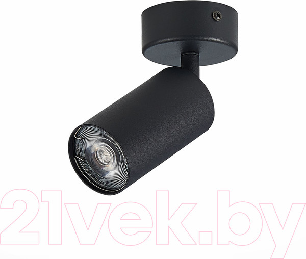 Изображение товара Спот ST Luce Dario ST303.402.01