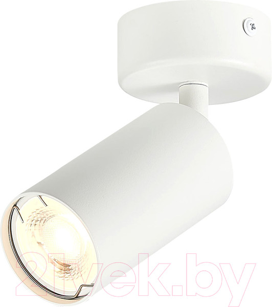 Изображение товара Спот ST Luce Dario ST303.502.01