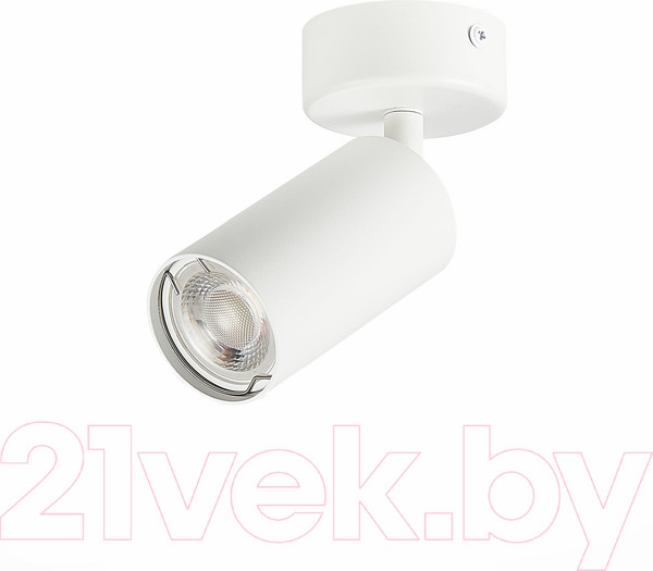 Изображение товара Спот ST Luce Dario ST303.502.01