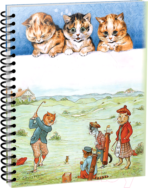 Изображение товара Скетчбук Попурри Уэйн. Удар по мячу. Три милых маленьких котенка