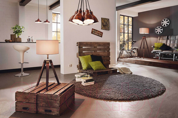 Изображение товара Потолочный светильник Eglo Priddy 1 49492