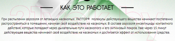 Изображение товара Аэрозоль от насекомых Раптор От летающих насекомых / A1643 (275мл)