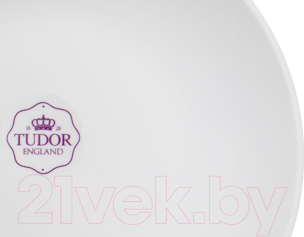 Изображение товара Тарелка столовая глубокая Tudor England TU2205-1