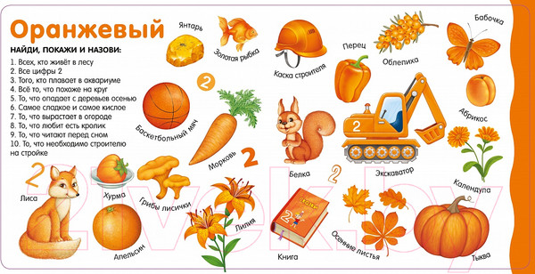 Изображение товара Развивающая книга Робинс Изучаем цвета, слова, цифры