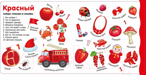 Изображение товара Развивающая книга Робинс Изучаем цвета, слова, цифры