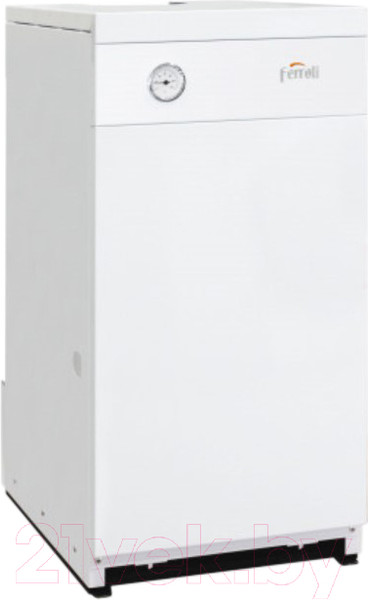 Изображение товара Газовый котел Ferroli Torino 100