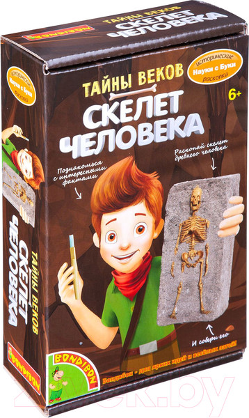 Изображение товара Набор для опытов Bondibon Исторические раскопки. Тайны веков / ВВ4790