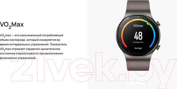 Изображение товара Умные часы Huawei Watch GT 2 Pro VID-B19 (Night Black)