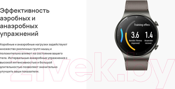 Изображение товара Умные часы Huawei Watch GT 2 Pro VID-B19 (Night Black)