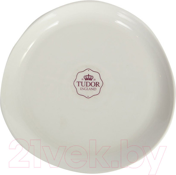 Изображение товара Тарелка столовая обеденная Tudor England TU1992-1