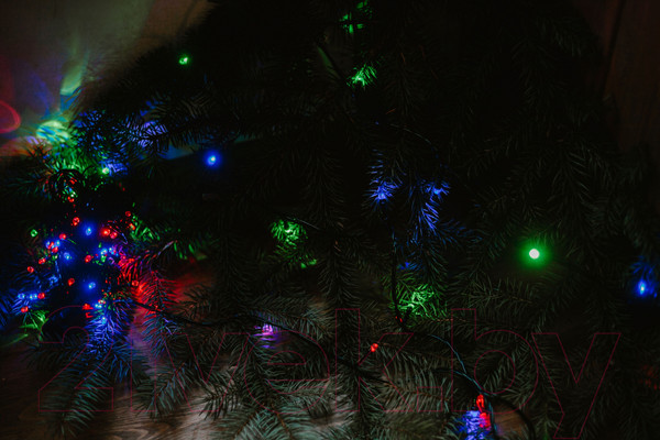 Изображение товара Светодиодная гирлянда Twinkle 018 (20м, цветной)