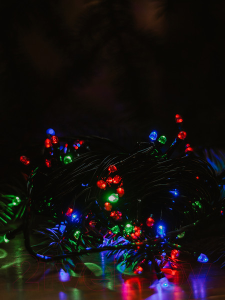 Изображение товара Светодиодная гирлянда Twinkle 018 (20м, цветной)