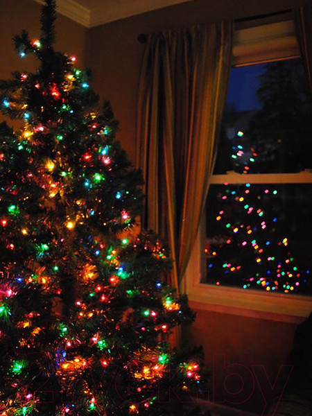 Изображение товара Светодиодная гирлянда Twinkle 019 (20м, цветной)