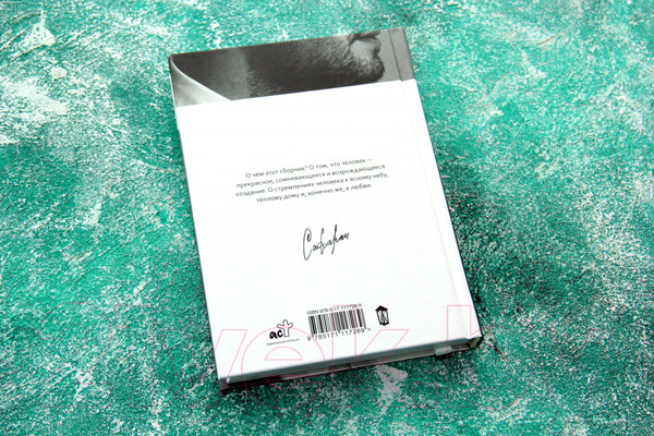 Изображение товара Книга АСТ Двенадцать (Сафарли Э.)