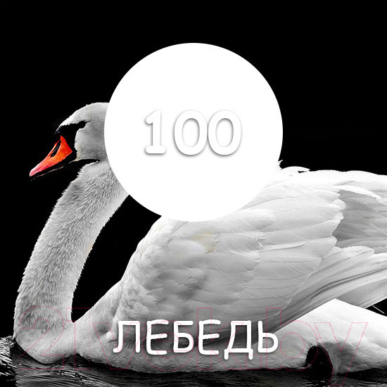 Изображение товара Краска MaXima резиновая №100 Лебедь (11кг)