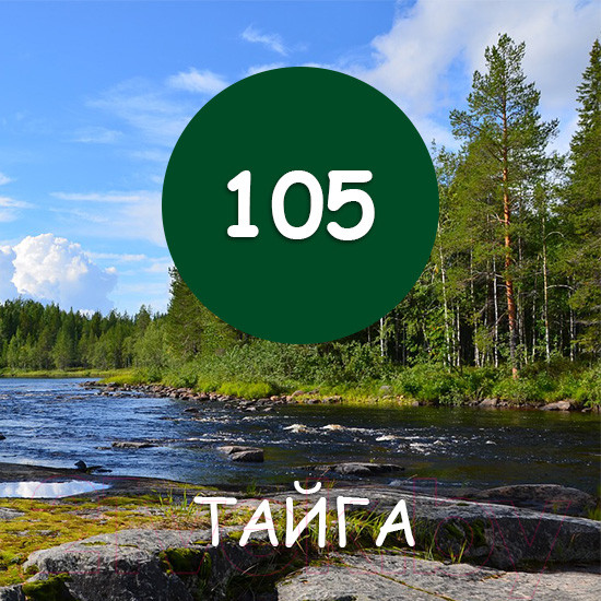 Изображение товара Краска MaXima резиновая №105 Тайга (11кг)