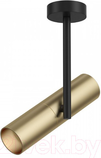 Изображение товара Спот Maytoni Technical Elti C020CL-01GB