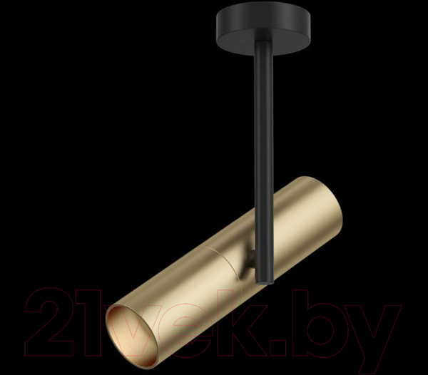 Изображение товара Спот Maytoni Technical Elti C020CL-01GB