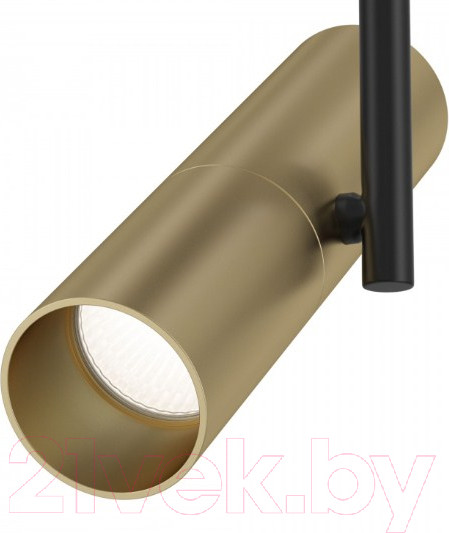 Изображение товара Спот Maytoni Technical Elti C020CL-01GB