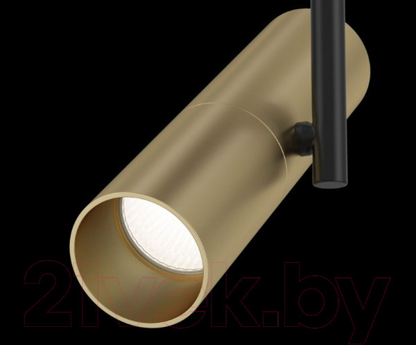 Изображение товара Спот Maytoni Technical Elti C020CL-01GB