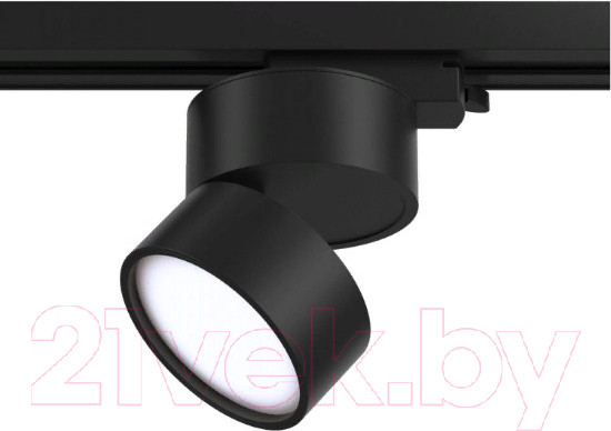 Изображение товара Трековый светильник Maytoni Track Lamps TR007-1-12W4K-B