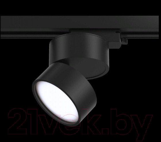 Изображение товара Трековый светильник Maytoni Track Lamps TR007-1-12W4K-B