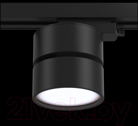 Изображение товара Трековый светильник Maytoni Track Lamps TR007-1-12W4K-B
