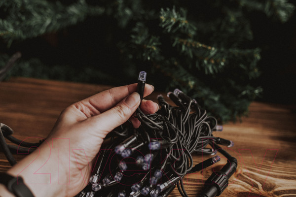 Изображение товара Светодиодная гирлянда Twinkle 172 (10м, цветной)