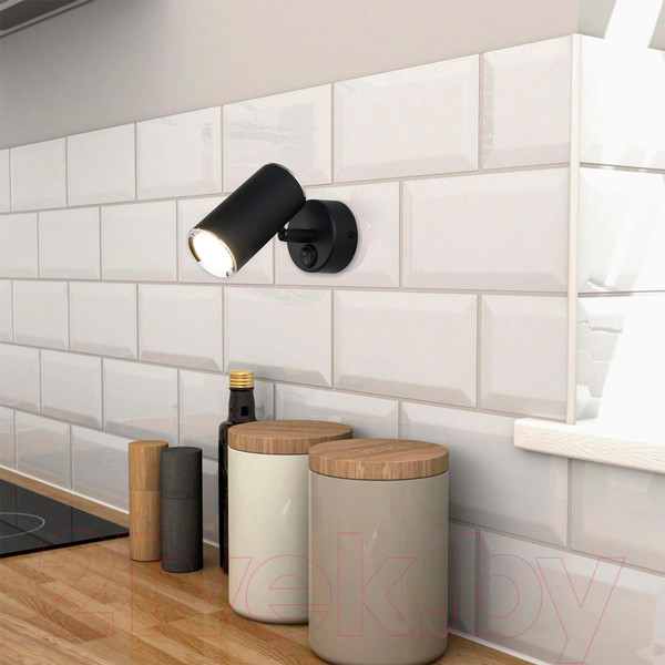 Изображение товара Спот Elektrostandard Rutero GU10 SW MRL 1003 (черный)